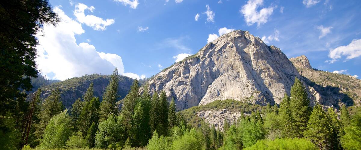Kings Canyon National Park