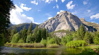 Parc national de Kings Canyon