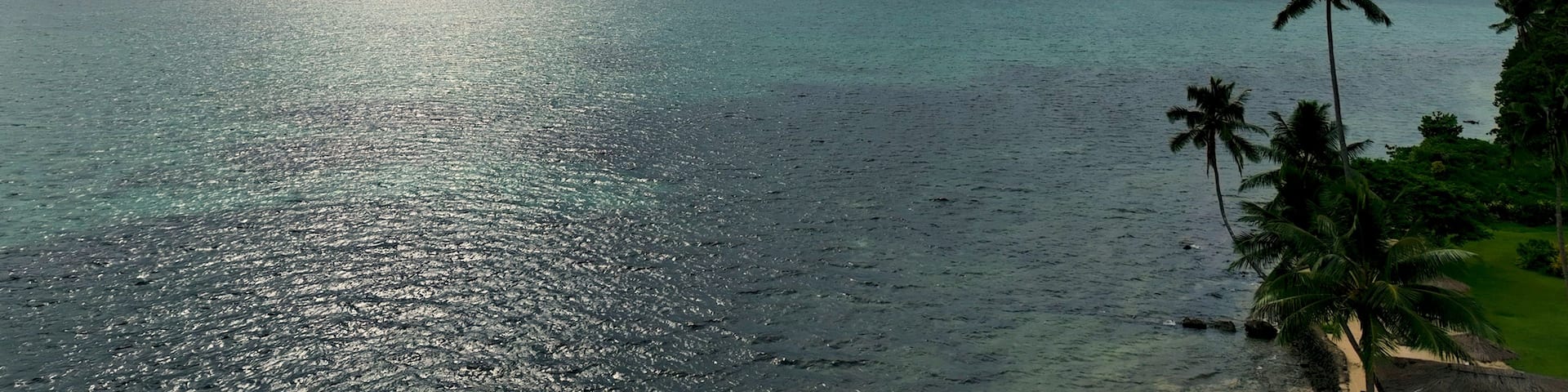 A beach with clear water, palm trees, and a cloudy sky.