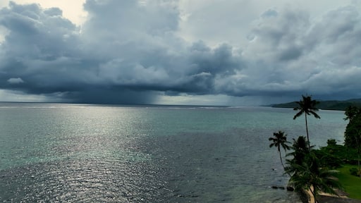 A beach with clear water, palm trees, and a cloudy sky.