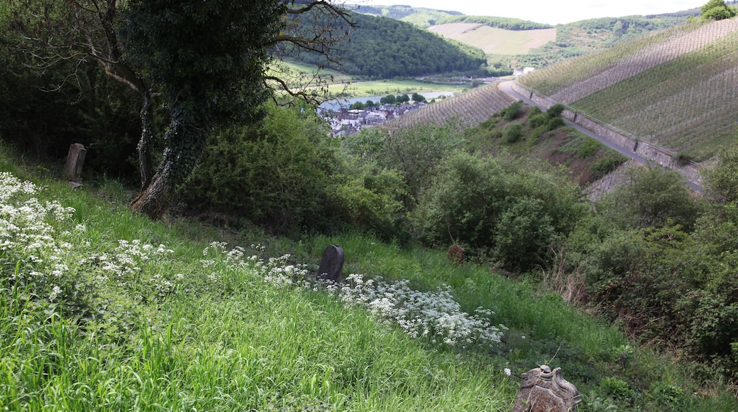 Zeltingen, Alter Jüdischer Friedhof