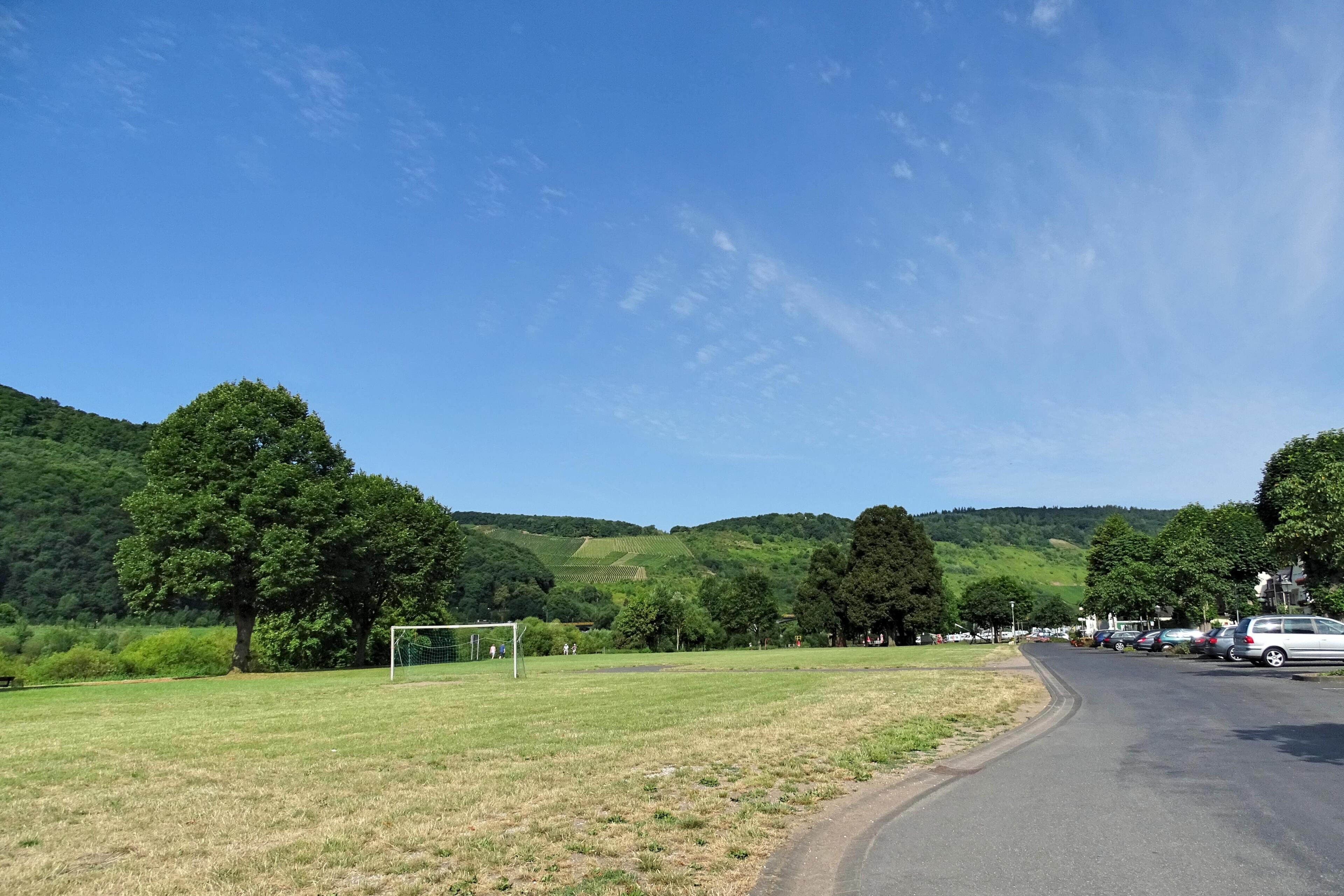 Zeltingen-Rachtig, Germany