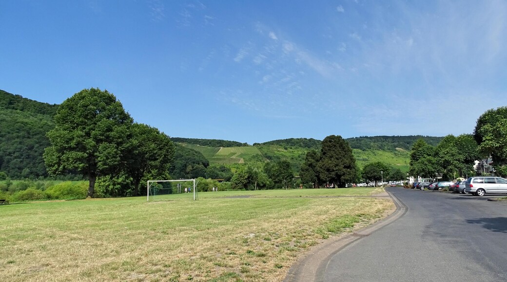 Zeltingen-Rachtig, Germany