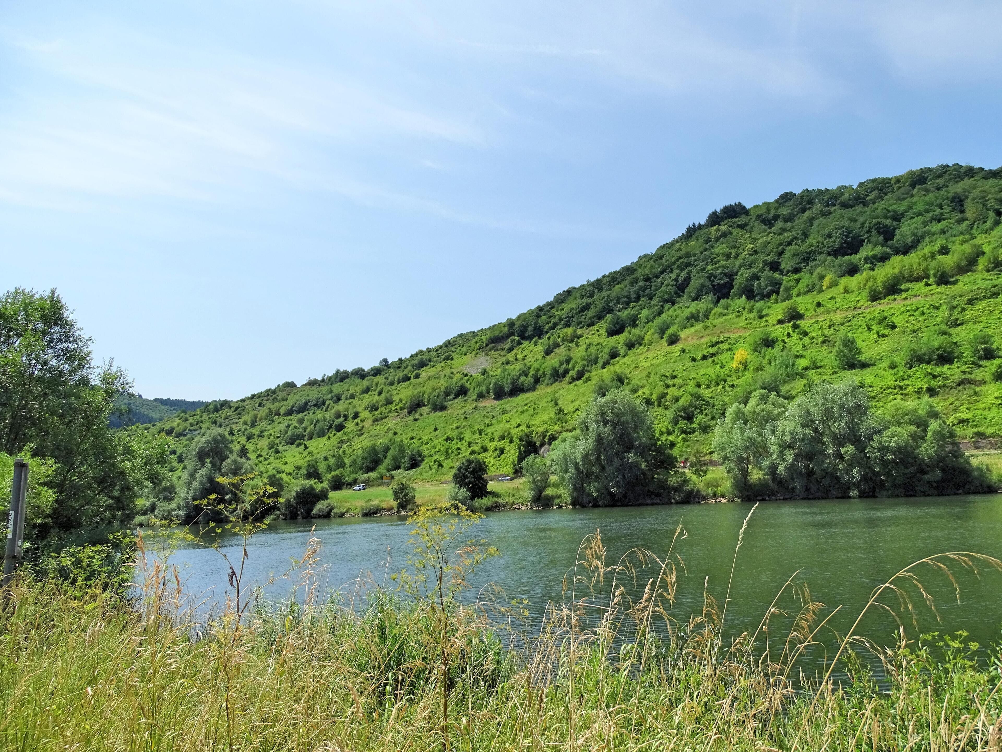 Zeltingen-Rachtig, Germany