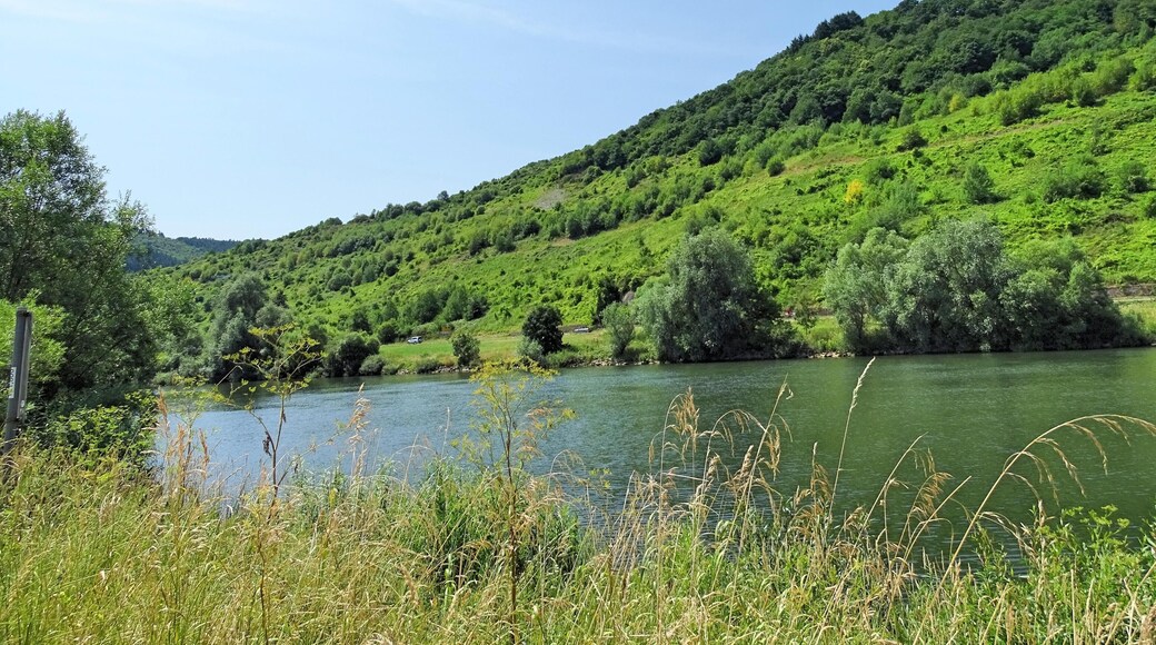 Zeltingen-Rachtig, Germany