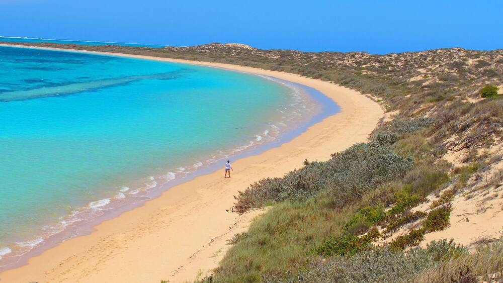 A beach with clear turquoise waters, sandy shore, and sparse vegetation.