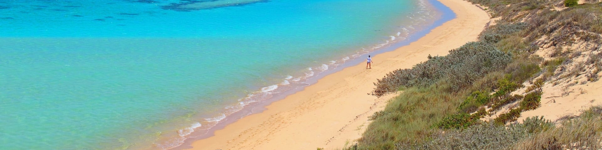 A beach with clear turquoise waters, sandy shore, and sparse vegetation.