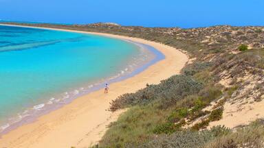 Coral Bay, Western Australia