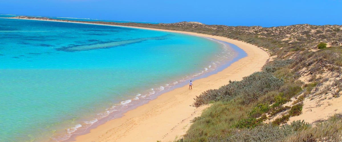 A beach with clear turquoise waters, sandy shore, and sparse vegetation.