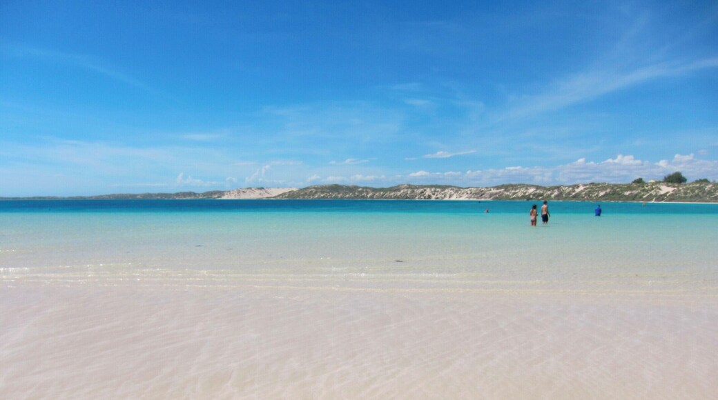 Near the unmatched Ningaloo Reef (where you can snorkel with whale sharks) is Coral Bay. This water is so shallow you can walk practically all the way across the bay. It's a beautiful place to relax after your journey through a lot of nothingness to get here :) #beachbound