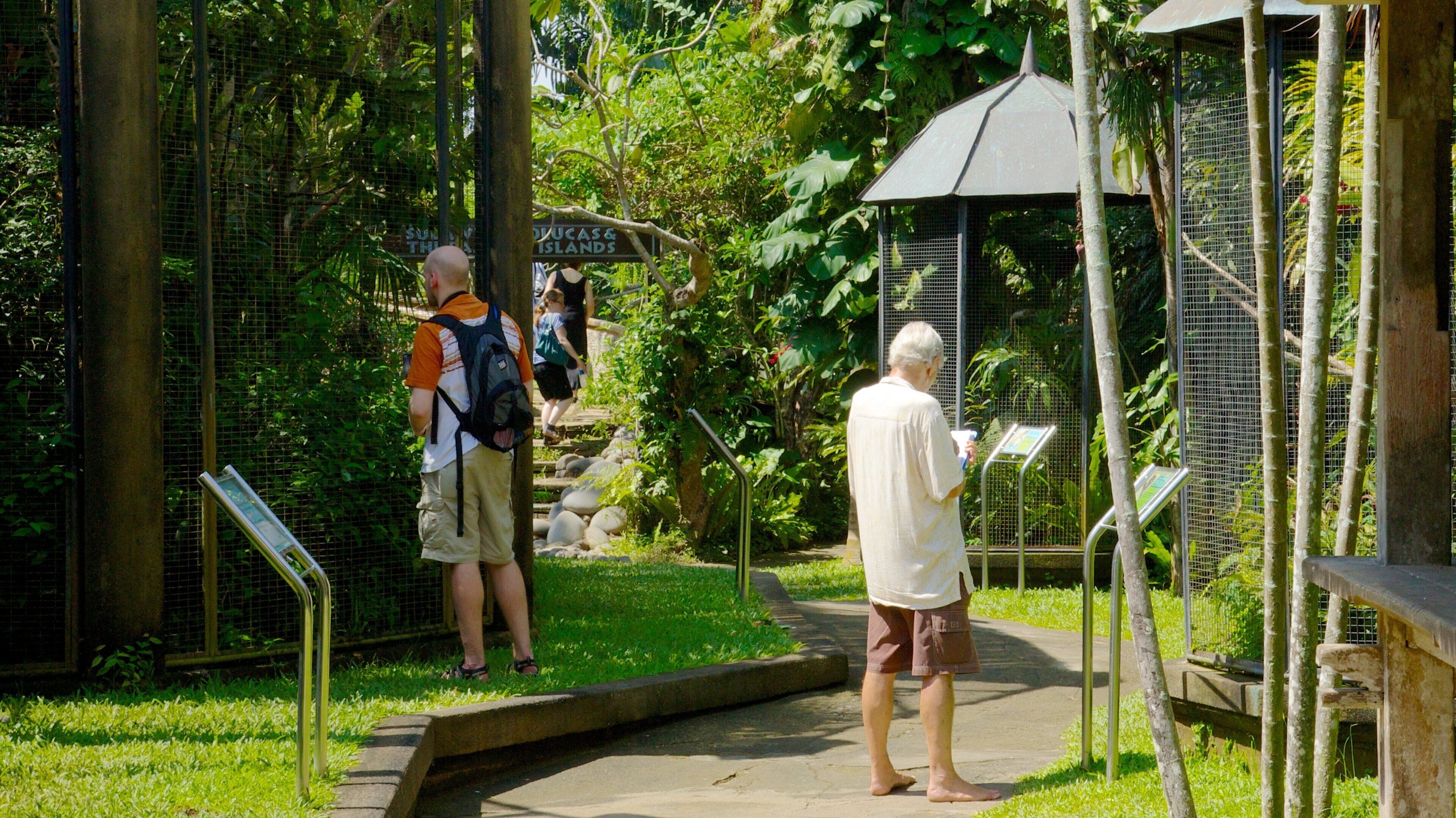 Batubulan which includes a park as well as an individual male