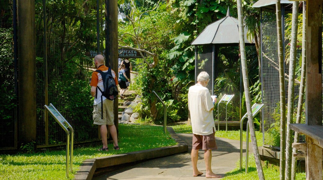 Batubulan which includes a park as well as an individual male