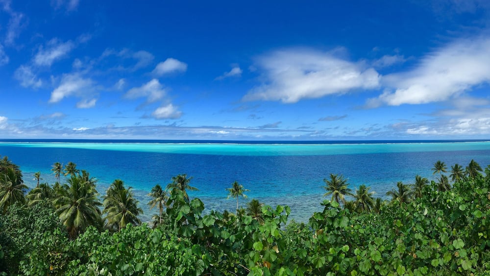 A tropical beach with clear turquoise waters, palm trees, and a blue sky with clouds.