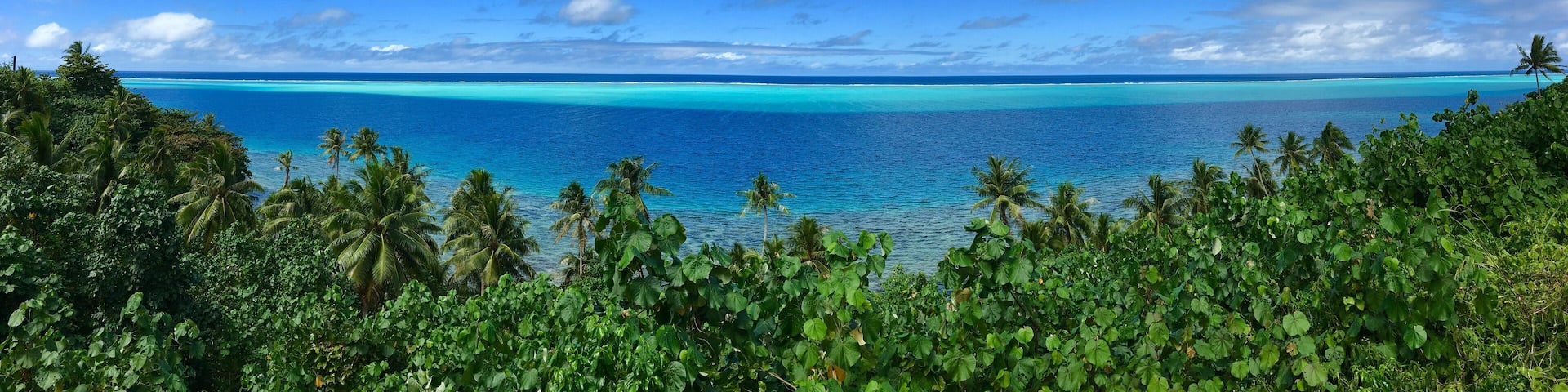A tropical beach with clear turquoise waters, palm trees, and a blue sky with clouds.