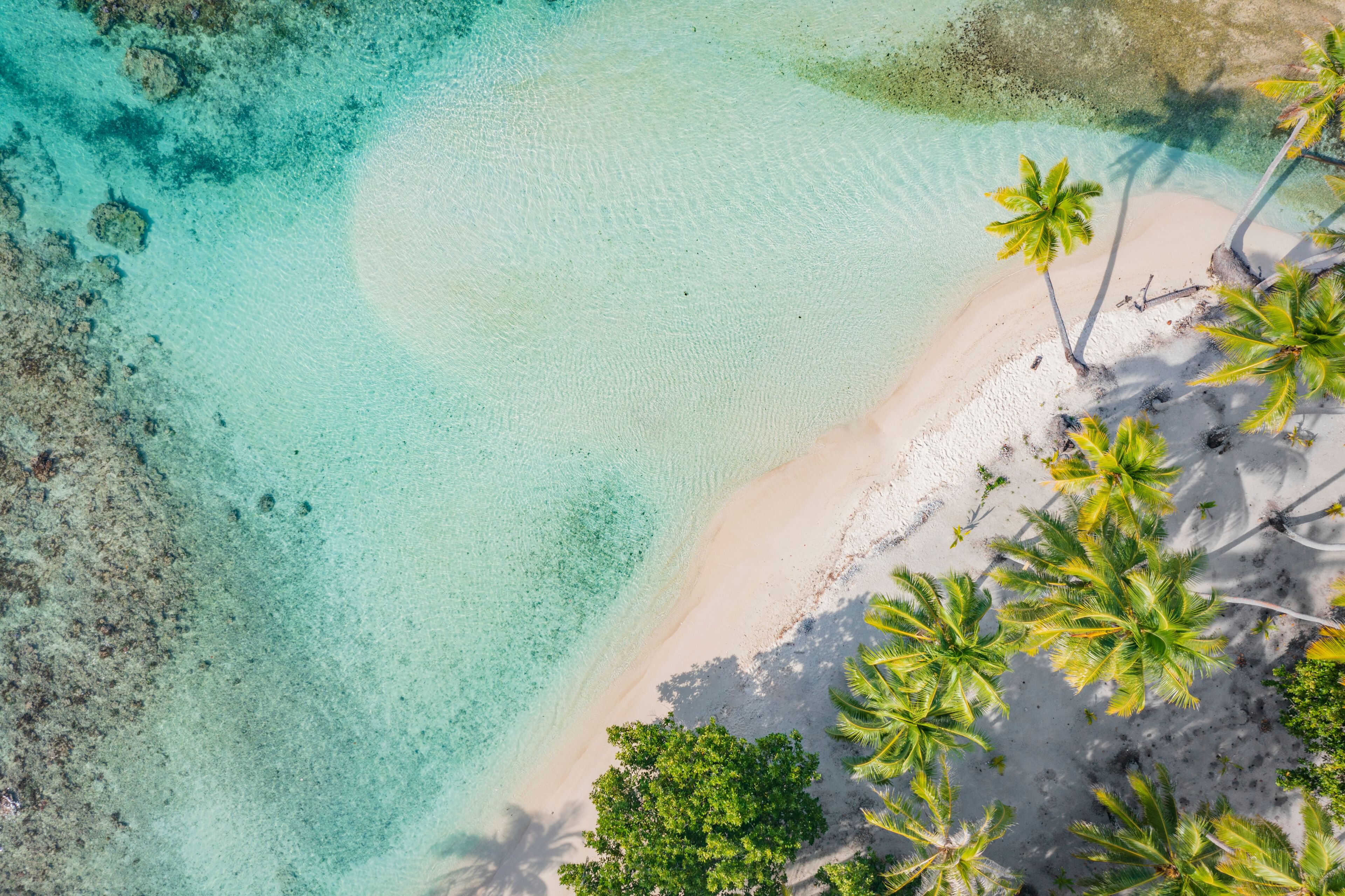 Beach travel vacation top down drone photo of tropical paradise beach in perfect turquoise water in coral reef lagoon ocean by beach. Palm trees on atoll