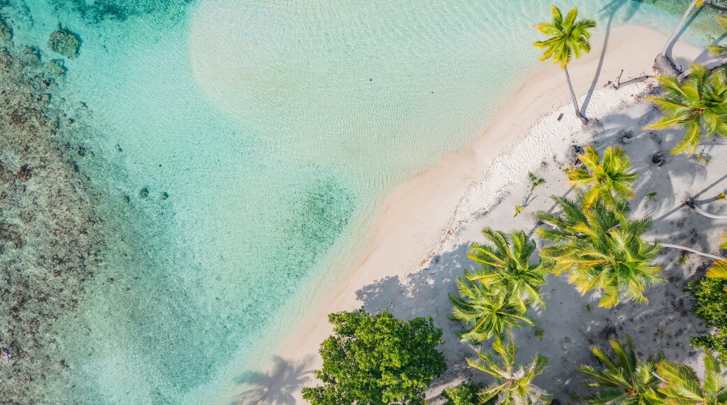 Beach travel vacation top down drone photo of tropical paradise beach in perfect turquoise water in coral reef lagoon ocean by beach. Palm trees on atoll