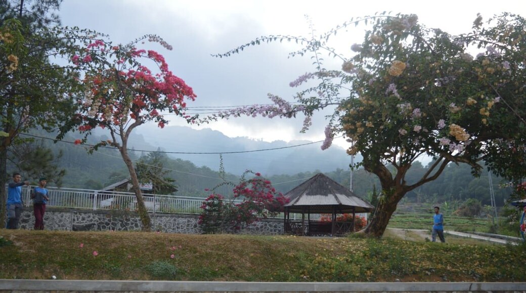 Cool atmosphere with beautiful views, blooming flowers.