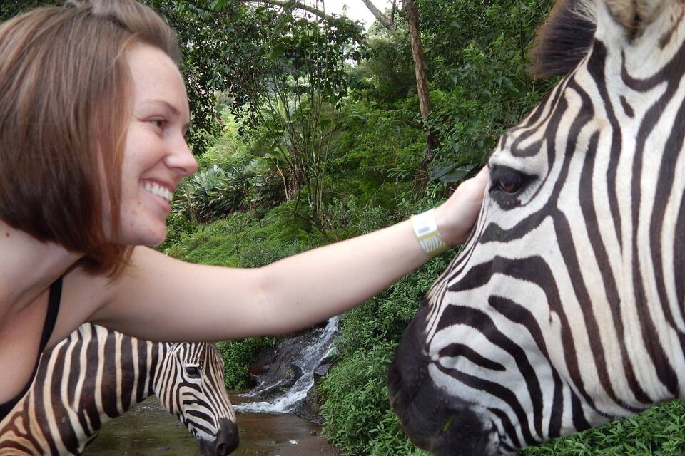 A person petting a zebra near a stream in a lush green environment.