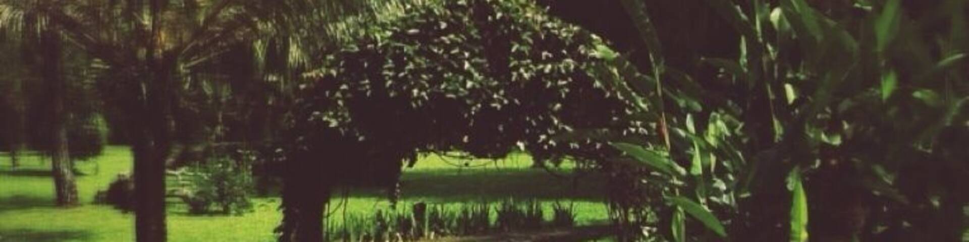 Truly a gem! http://m.airbnb.com/#listings/479337