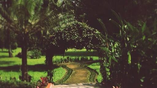 Truly a gem! http://m.airbnb.com/#listings/479337