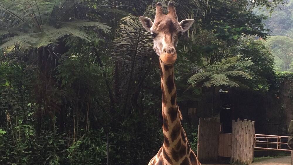 The place where u can see their innocent and hungry look closer đ