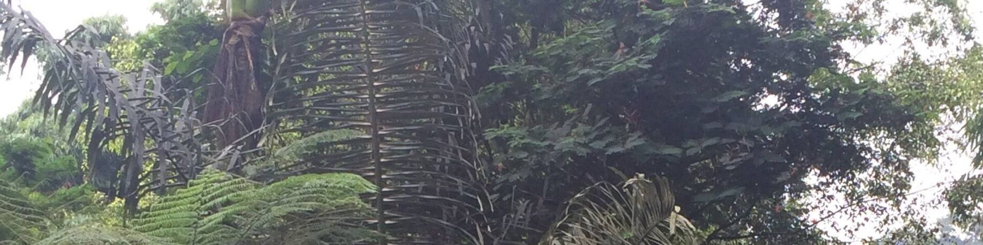 The place where u can see their innocent and hungry look closer 😁