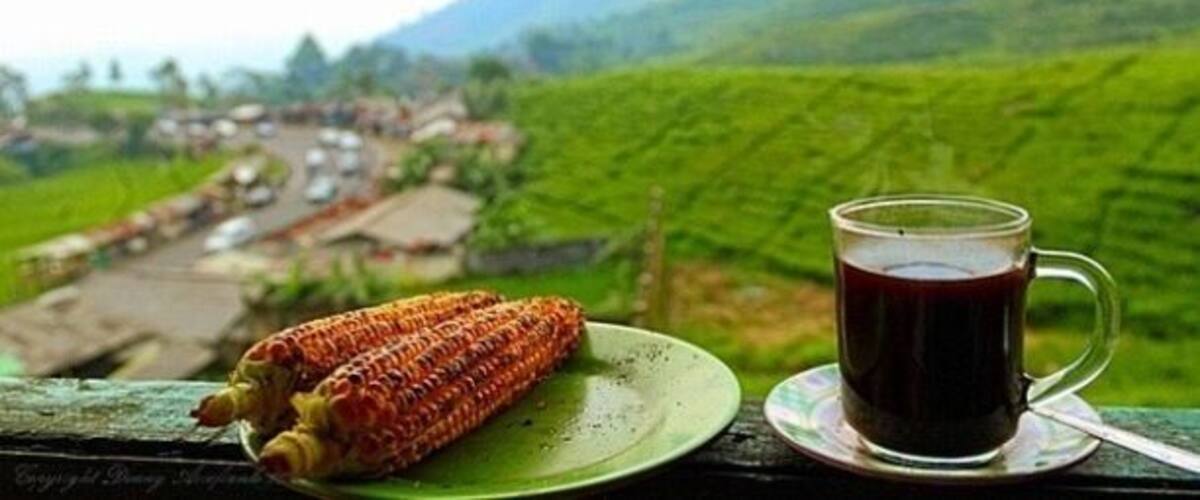 Puncak (Peak) is the popular name for the area surrounding the peak of Mt.Gede-Pangrango, located in the Bogor-Cianjur-Sukabumi regencies, in the province of West Java, Indonesia. It has fresh air, mountain scenery and a cooler climate. The area is about two hours drive from Jakarta.