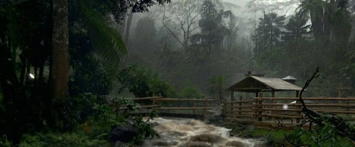 A turbulent river with a wooden bridge and a small shelter in a forested area.