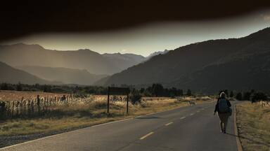 Heading to Futaleufú after quite an eventful border crossing (Argentina -> Chile).
The 8pm light reminded me of Nordic summers and Doggy, who accompanied us for 2 km - until he caught a hare -, seemed sent by someone to guide and protect us.
P.S. Here's the full story of our rollercoasterish Patagonian summer day (in Romanian)--
https://bit.ly/33SNDMC
