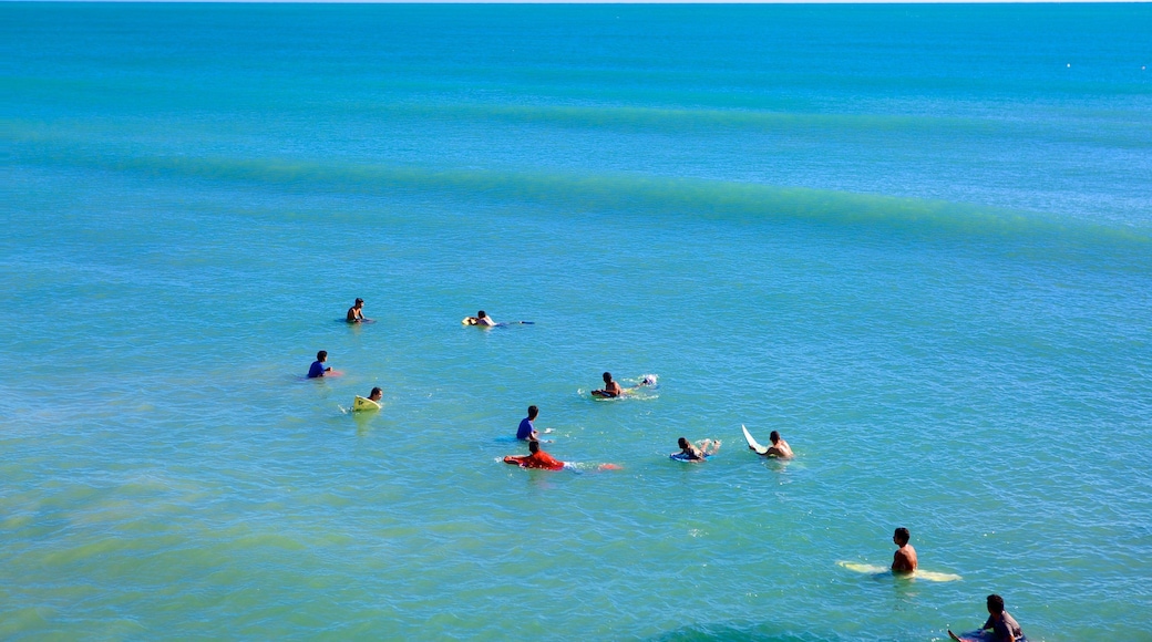 Fortaleza showing surfing, surf and general coastal views