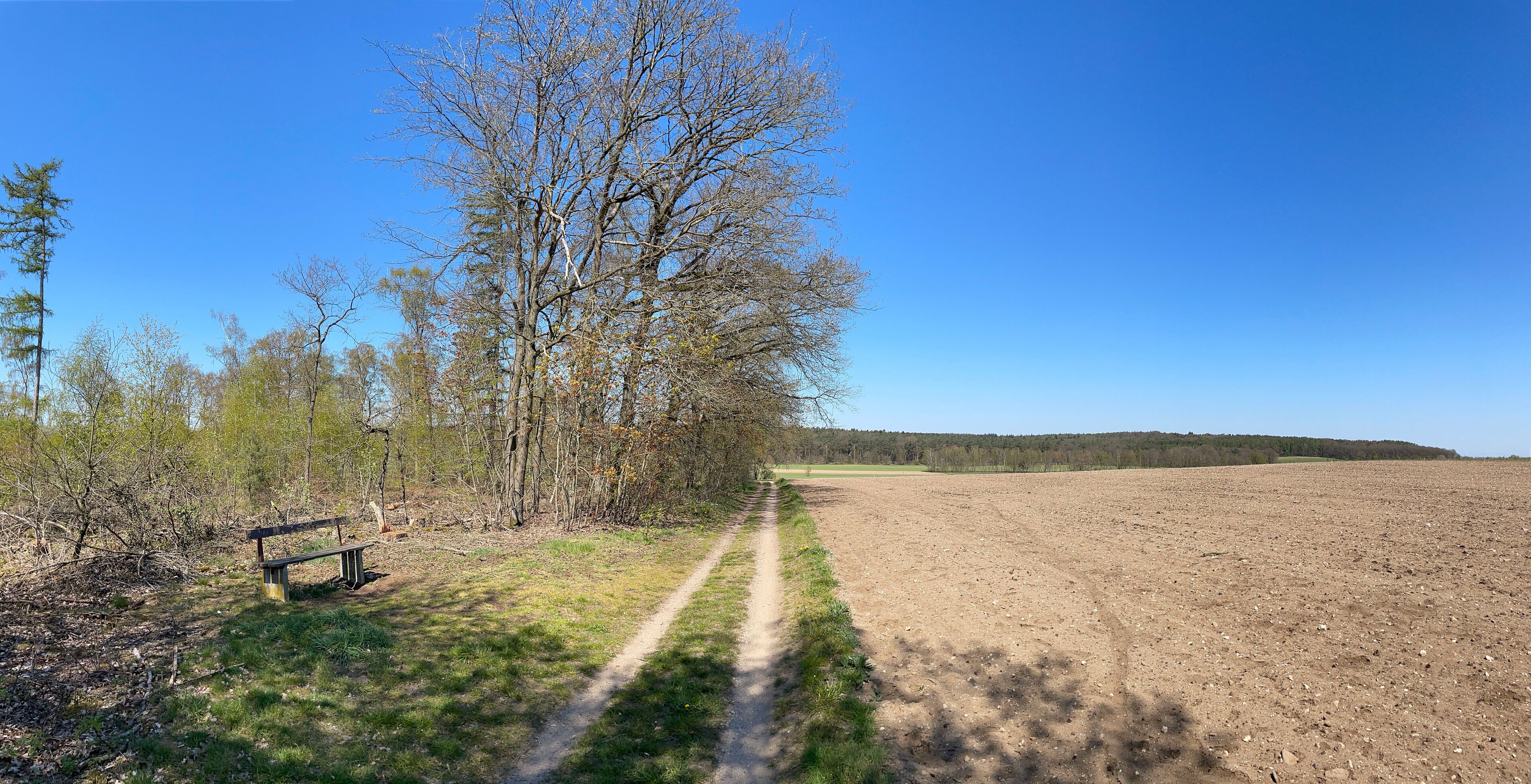 A dirt path leading through a field with a bench and trees on one side.
