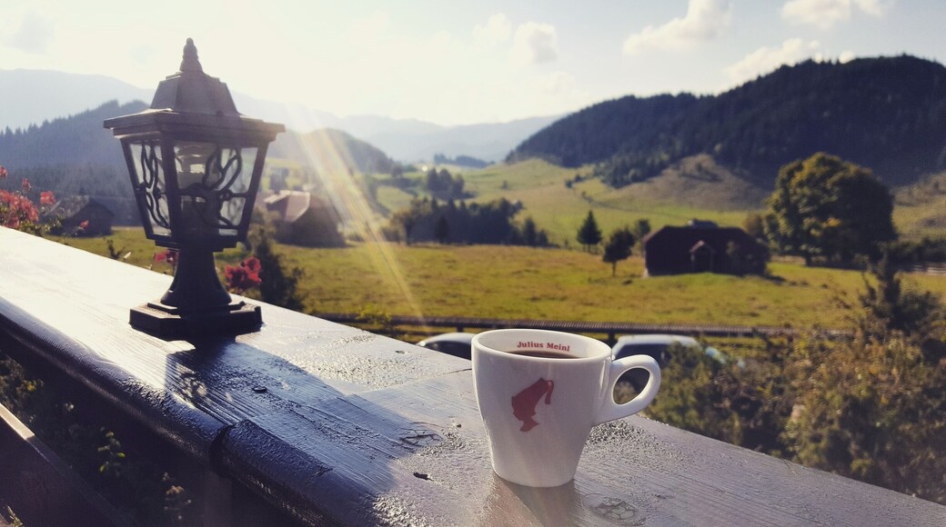 Mornings like this.
Cheile Gradistei in Romania is a perfect place to relax. It is so peaceful and the view is wonderful. There is a cute tea shop (T-shop). A book, a cup of tea and a great view make the perfect blend!