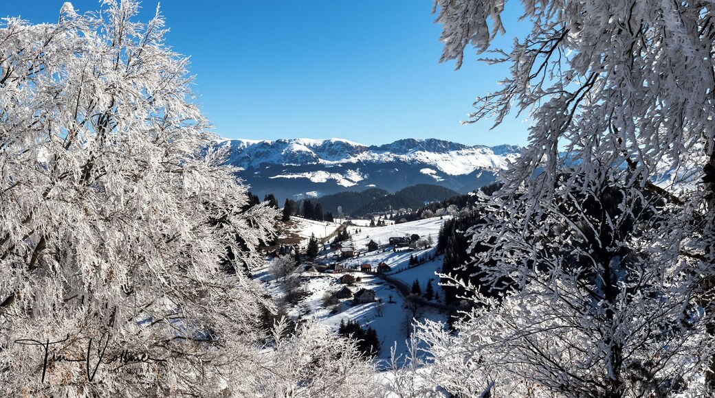 Romania is very interesting for photographers. Thrown back in time. Join my Photo tour through Romania. www.timvollmer.de