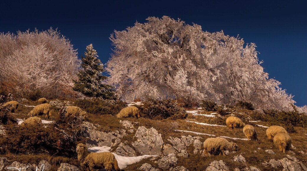Romania is very interesting for photographers. Thrown back in time. Join my Photo tour through Romania. www.timvollmer.de