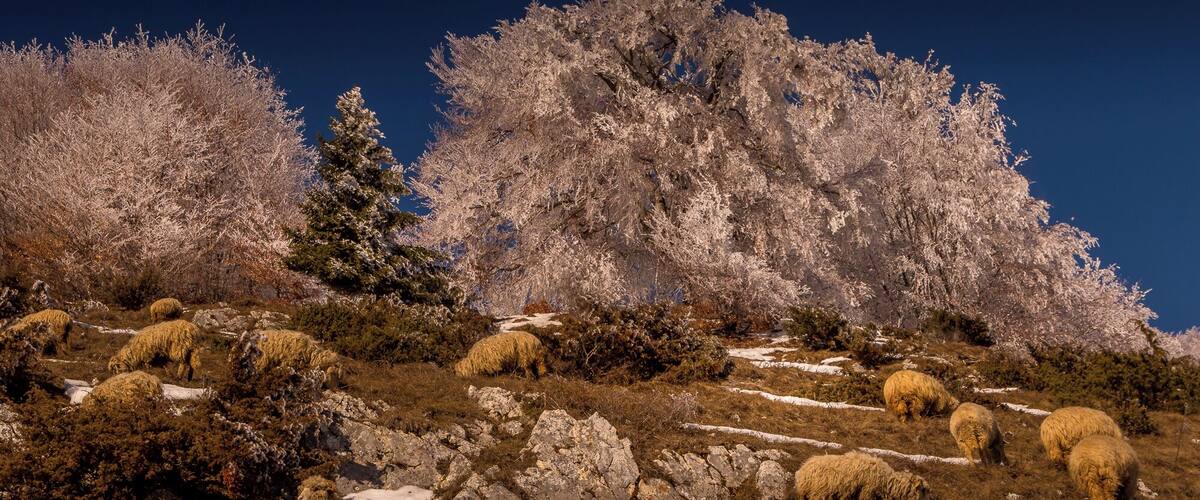 Romania is very interesting for photographers. Thrown back in time. Join my Photo tour through Romania. www.timvollmer.de