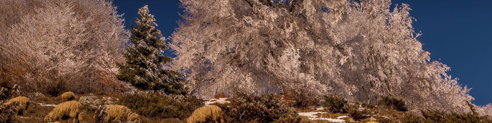 Romania is very interesting for photographers. Thrown back in time. Join my Photo tour through Romania. www.timvollmer.de
