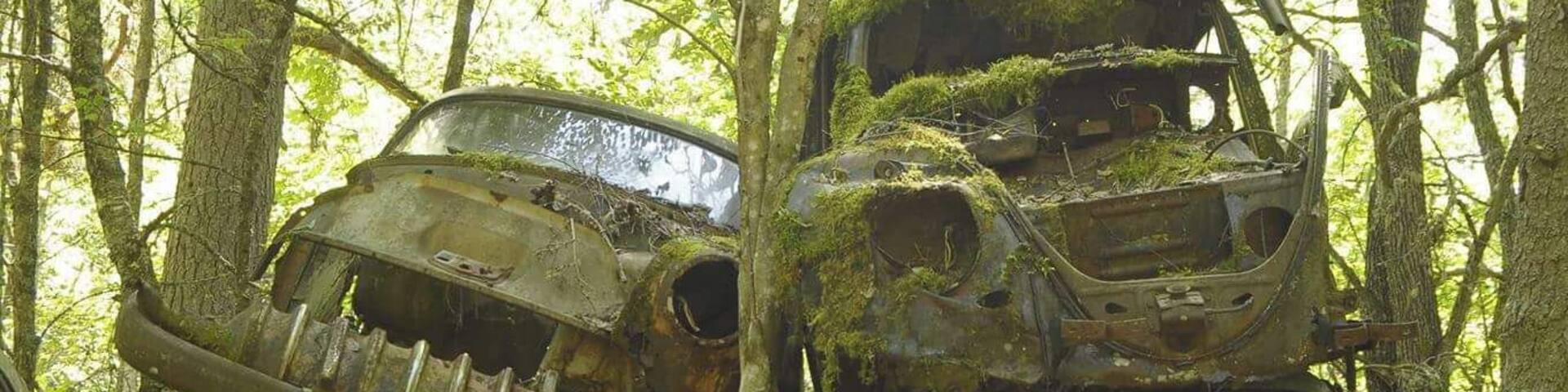 BastnÀs car cemetry.