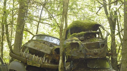 Bastnäs car cemetry.