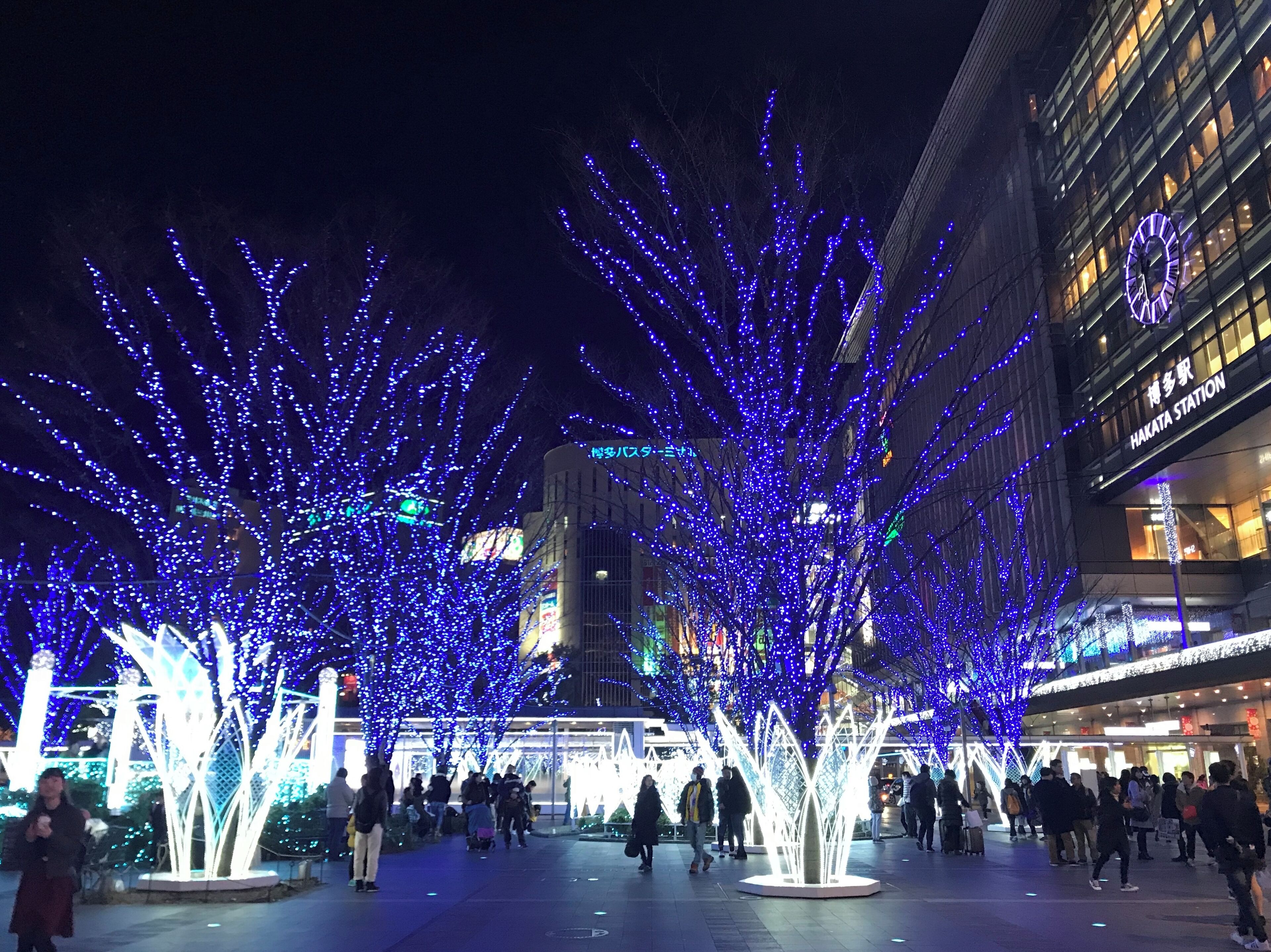 A night scene with illuminated trees and a building labeled "HAKATA STATION".