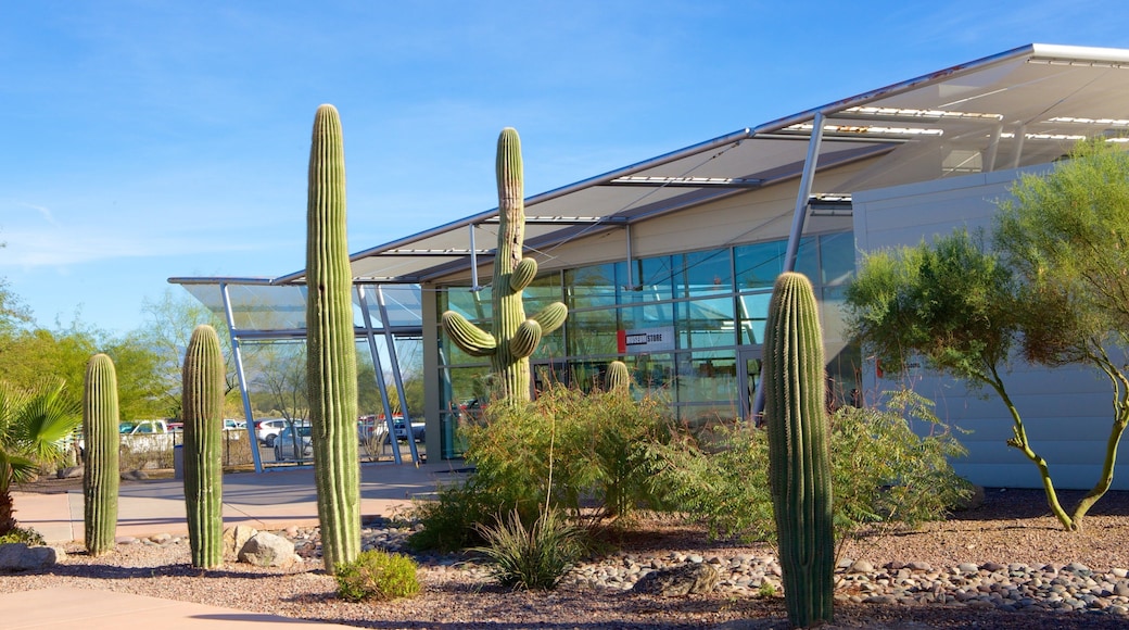 Pima Air and Space Museum which includes a park