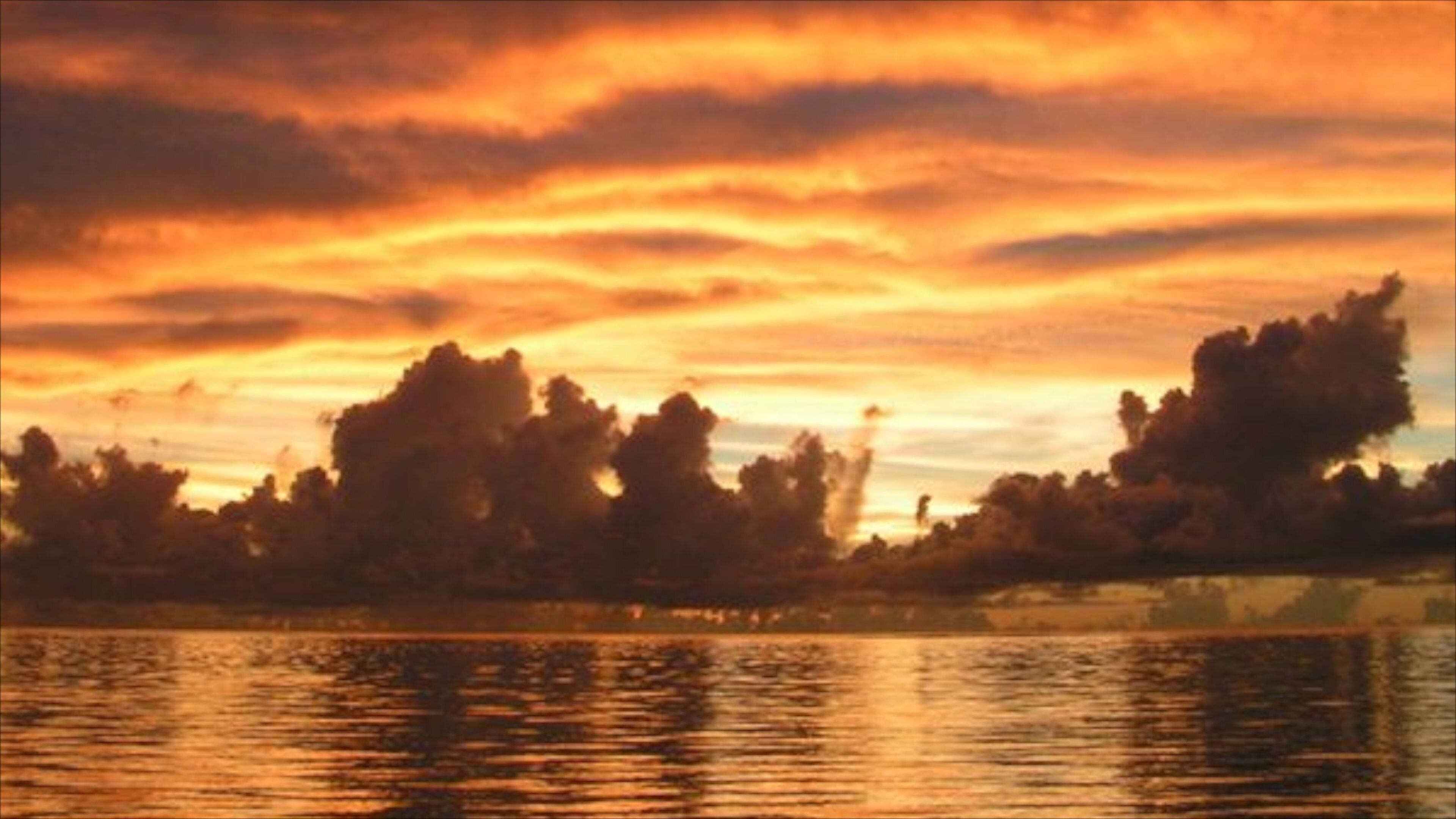 A sunset over a body of water with trees silhouetted against the sky.