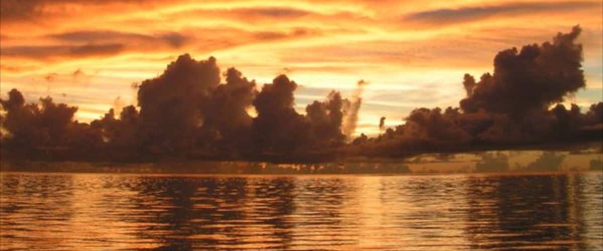A sunset over a body of water with trees silhouetted against the sky.