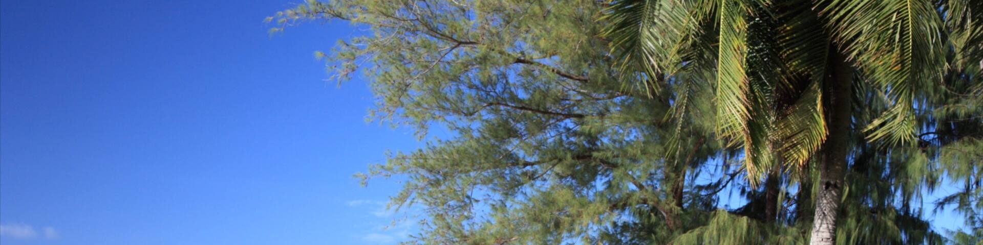 Saipan showing a sandy beach