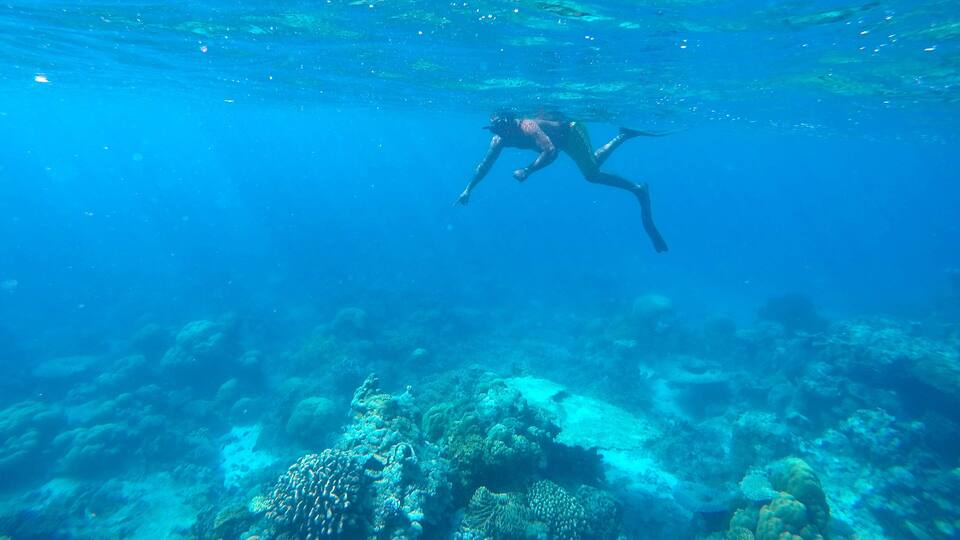 A diver swimming underwater with coral formations.