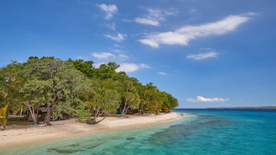 A tropical beach with clear turquoise waters, sandy shore, and dense green foliage.