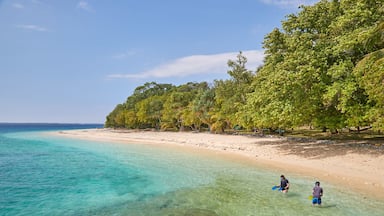 Una playa con agua turquesa cristalina, orilla de arena y vegetación verde exuberante.