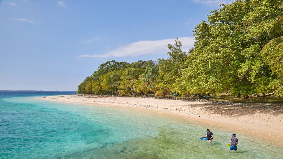 A beach with clear turquoise water, sandy shore, and dense green foliage.