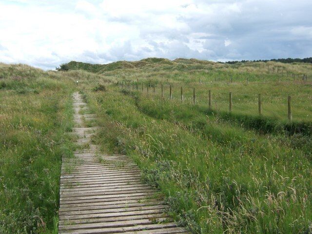 Boardwalk through the dunes