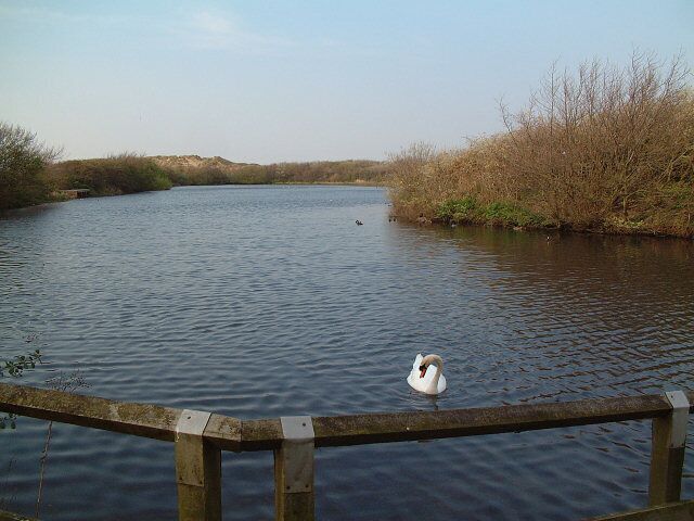 Ainsdale Nature Reserve. There's lots to photograph in this square. This is the lake in the northwest corner. A boardwalk path runs all the way round.