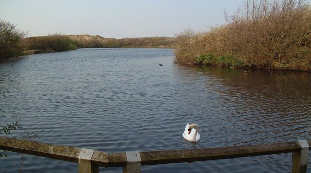Ainsdale Nature Reserve. There's lots to photograph in this square. This is the lake in the northwest corner. A boardwalk path runs all the way round.